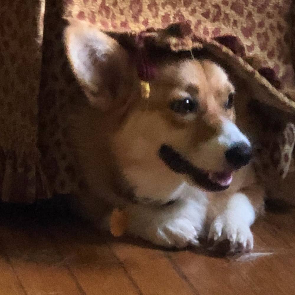 Meet your Posher, Jan